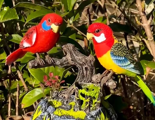 🦜Elektryczne, sterowane bateryjnie papugi głosowe - 🥀Ożyw swój ogród