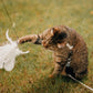 🔥HIT SPRZEDAŻY 50% ZNIŻKI🐱 Spraw, by Twój kot był szczęśliwy i pełen energii przez cały dzień 🐦✨