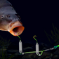 🎣⚡ Uniwersalny zestaw wędkarski – Dla każdej przynęty!🎣