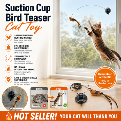 🔥HIT SPRZEDAŻY 50% ZNIŻKI🐱 Spraw, by Twój kot był szczęśliwy i pełen energii przez cały dzień 🐦✨