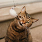 🔥HIT SPRZEDAŻY 50% ZNIŻKI🐱 Spraw, by Twój kot był szczęśliwy i pełen energii przez cały dzień 🐦✨