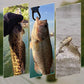🎣Realistyczny zestaw pływających przynęt 3D z 3 haczykami🐟