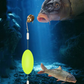 🎣⚡ Uniwersalny zestaw wędkarski – Dla każdej przynęty!🎣