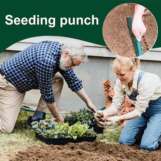 🌱 Podkładka dystansowa do nasion ogrodowych - 12-otworowe precyzyjne narzędzie do sadzenia