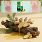 7-dniowy złuszczający spray do stóp z imbirem 🦶🌿🧴✨