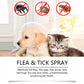 🍃 Naturalny spray przeciw pchłom i kleszczom dla psów i kotów 🐾 Chroń swojego ukochanego pupila przed szkodnikami 🐶🐱✨