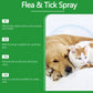 🍃 Naturalny spray przeciw pchłom i kleszczom dla psów i kotów 🐾 Chroń swojego ukochanego pupila przed szkodnikami 🐶🐱✨