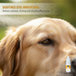 🏆Ostatni dzień: kup 2, a 3. otrzymasz gratis!!🐕👁️Łagodne krople do oczu dla psów i kotów | Neutralne pH, formuła niepowodująca pieczenia – łagodzą stany zapalne, usuwają zacieki pod oczami i odświeżają oczy pupila.