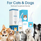 🐶🐱 Płyn do czyszczenia uszu dla psów i kotów – 50% ZNIŻKI! KUP 2 → 1 GRATIS! Skutecznie usuwa woskowinę i łagodzi świąd – delikatna formuła