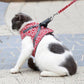 🌲Hot Sale 49% OFF🔥Pet Leash Anti-break Away Chest Strap Vest Harness